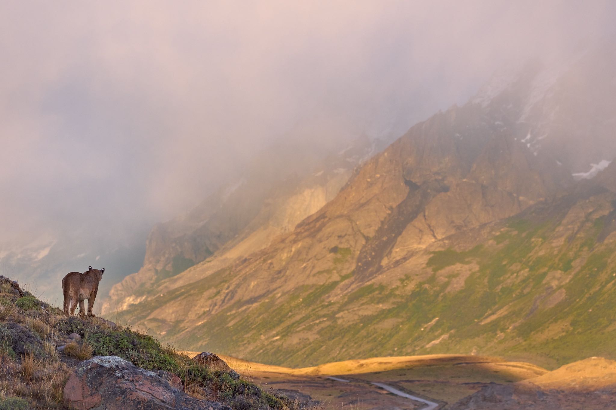 The Land (Almost) Before Time