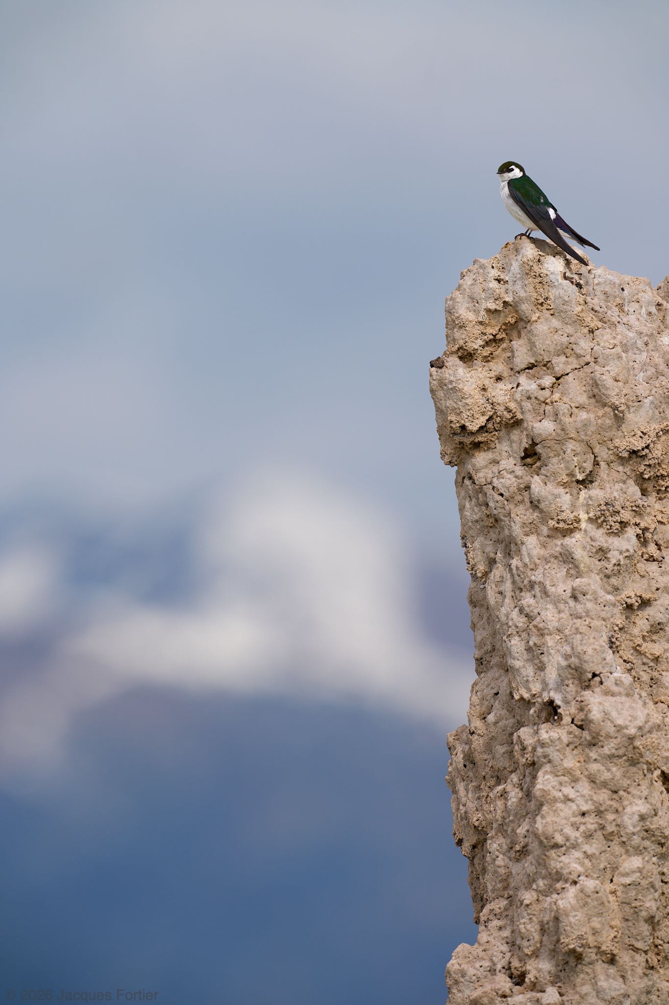 Top of the Tufa