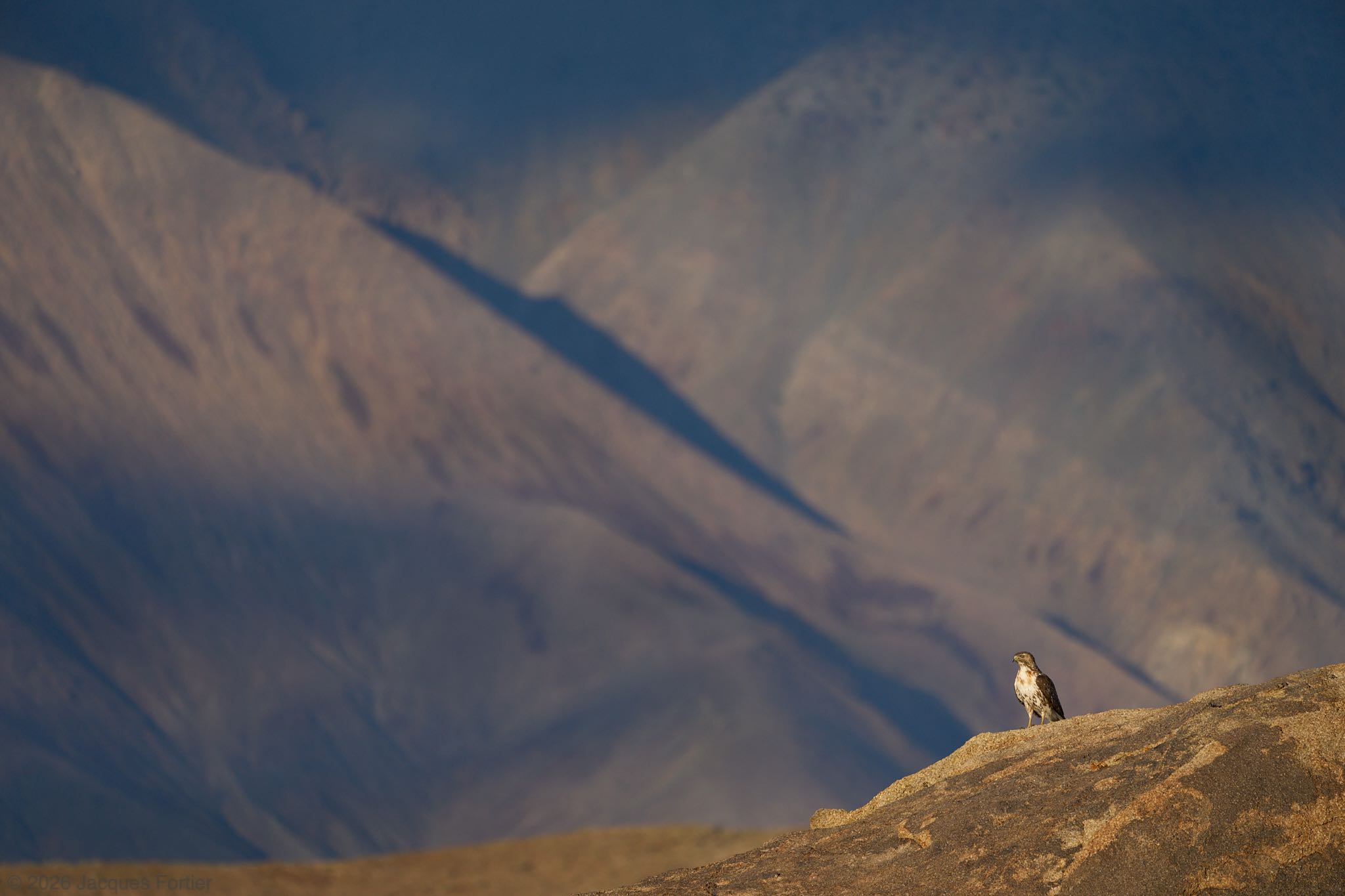 Inyo Scene