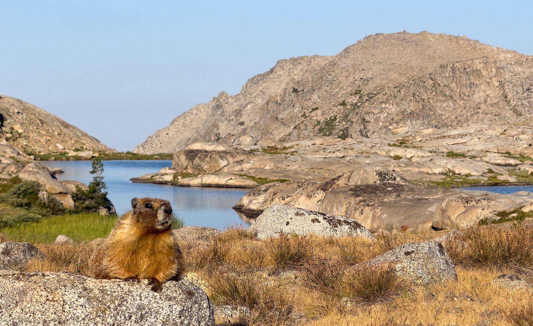 Marmot Lake