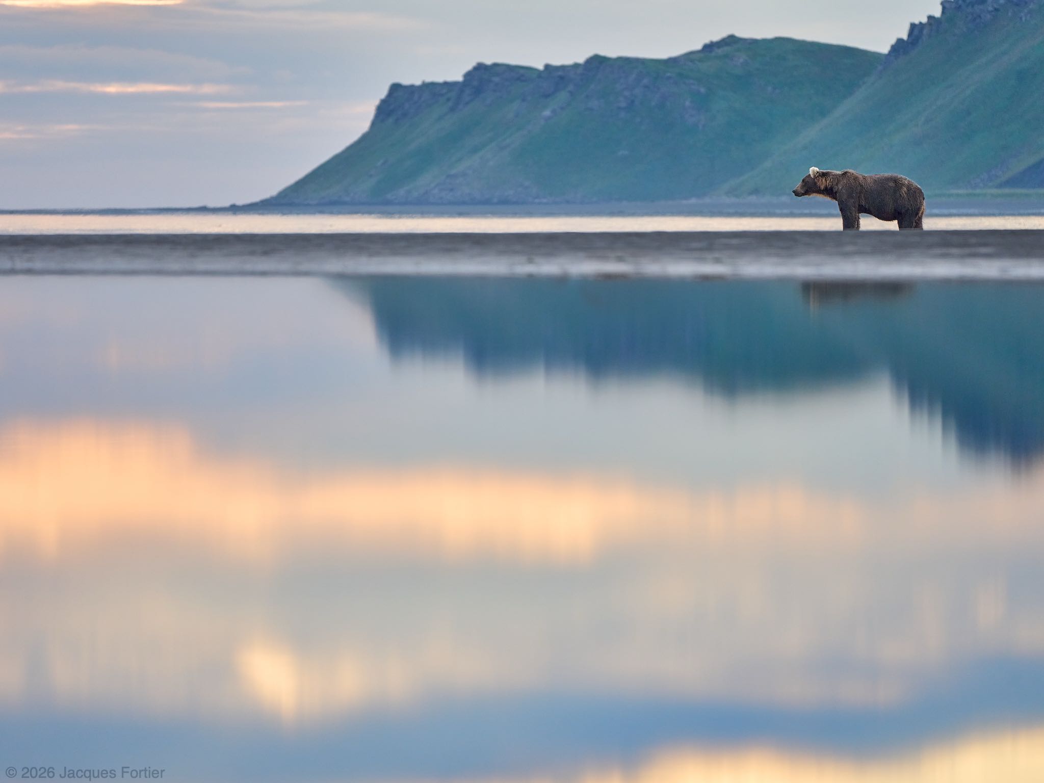 Stillness